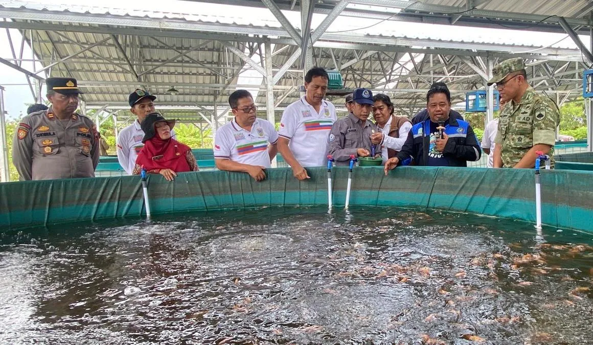 Panen Perdana Ikan Nila KDMP Undaan Lor Mencapai 300 Kg