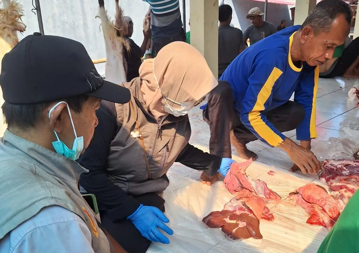 Pastikan Keamanan Pangan, Dinas Pertanian Pati Kawal Ketat Pemotongan Hewan Kurban