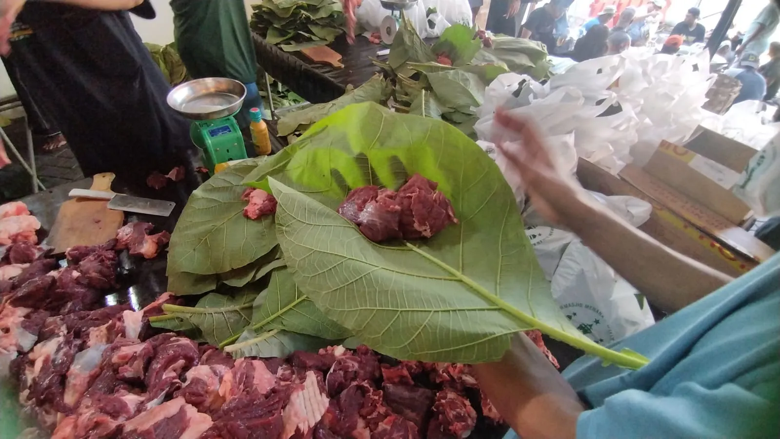 Menengok Tradisi Kurban Menara Kudus 2026: 16 Kerbau, 37 Kambing dan Berkah Daun Jati