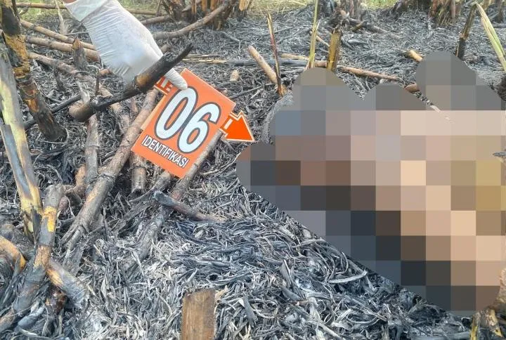 Innalillahi, Petani di Pati Tewas Terbakar di Sawah