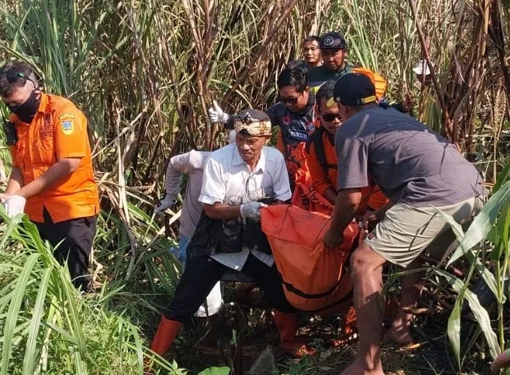 Dicari Semalaman, Mbah Ngatmono Ditemukan Meninggal di Sawah