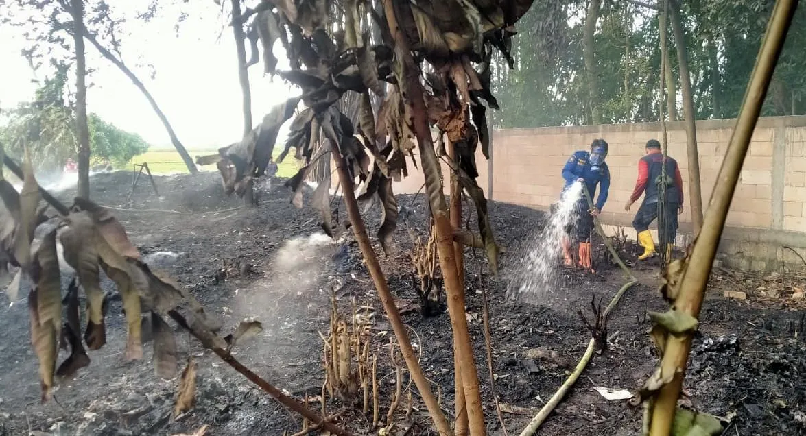 Diduga Dipicu Pembakaran Sampah Elektronik, Kebakaran Landa Winong Pati