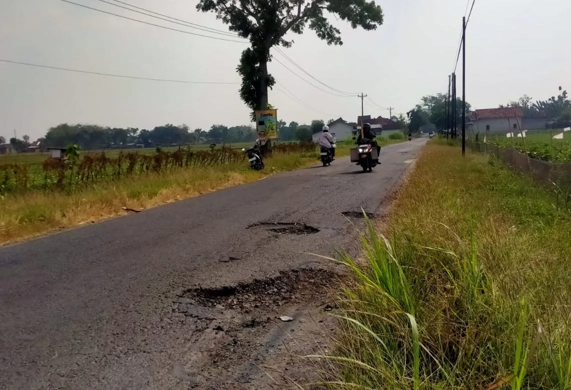 Warga Keluhkan Jalan Kayen–Tambakromo Berlubang, DPUTR Pati Siapkan Perbaikan Rp2,5 Miliar