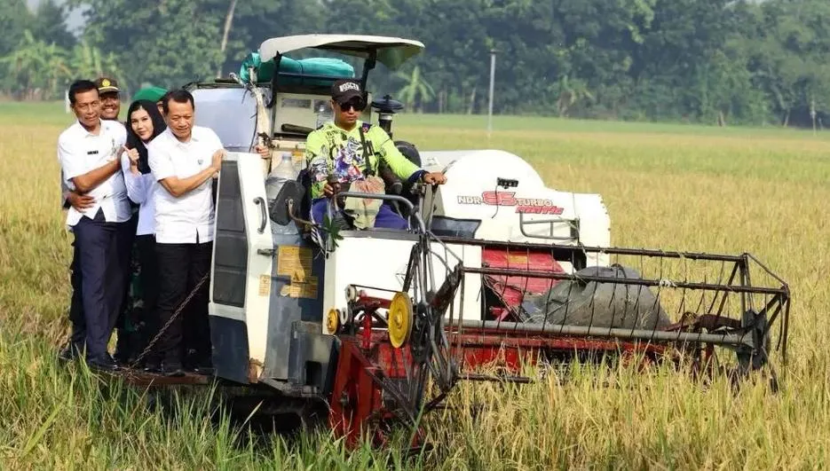Petani Kudus Diimbau Pilih Tanaman Tahan Kering Guna Hadapi Ancaman Kemarau Panjang