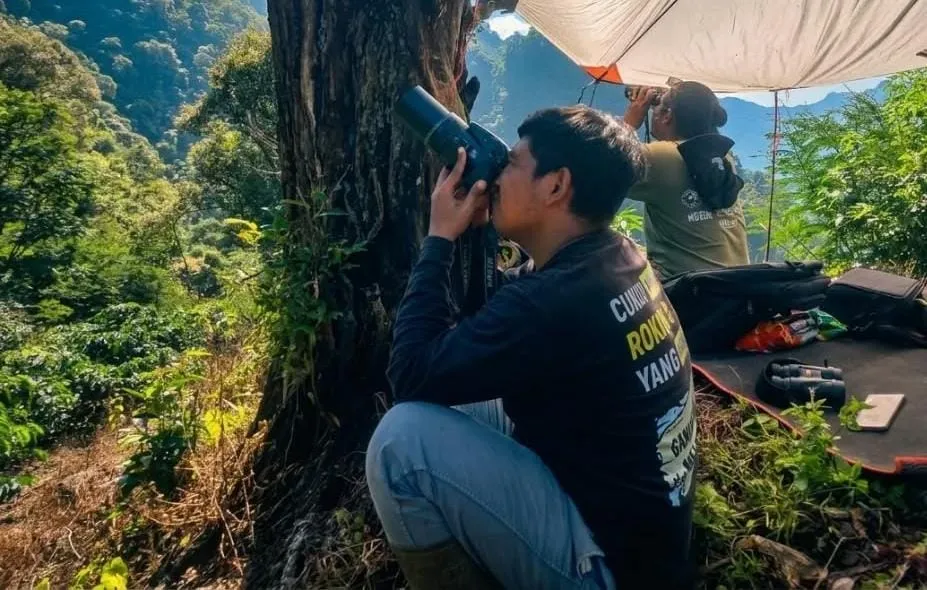 Bertahan dari Kepunahan, 20 Ekor Elang Jawa Terdeteksi di Gunung Muria
