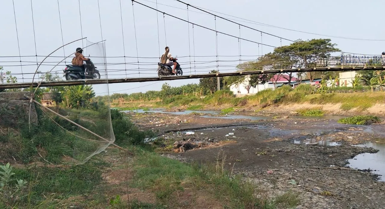 Sungai Silugonggo Mengering 3 Minggu, 60 Hektare Sawah di Pati Terancam Gagal Panen