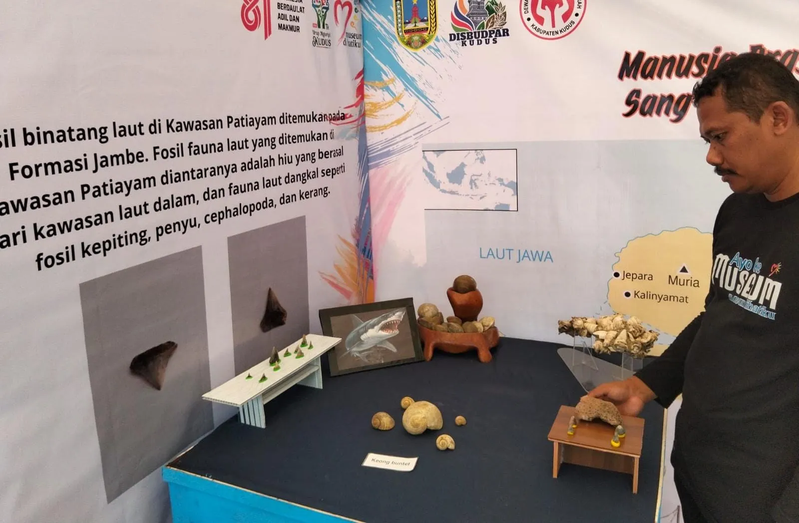 Fosil Gigi Hiu 5 Juta Tahun Dipamerkan di Kudus, Ungkap Jejak Selat Muria Purba