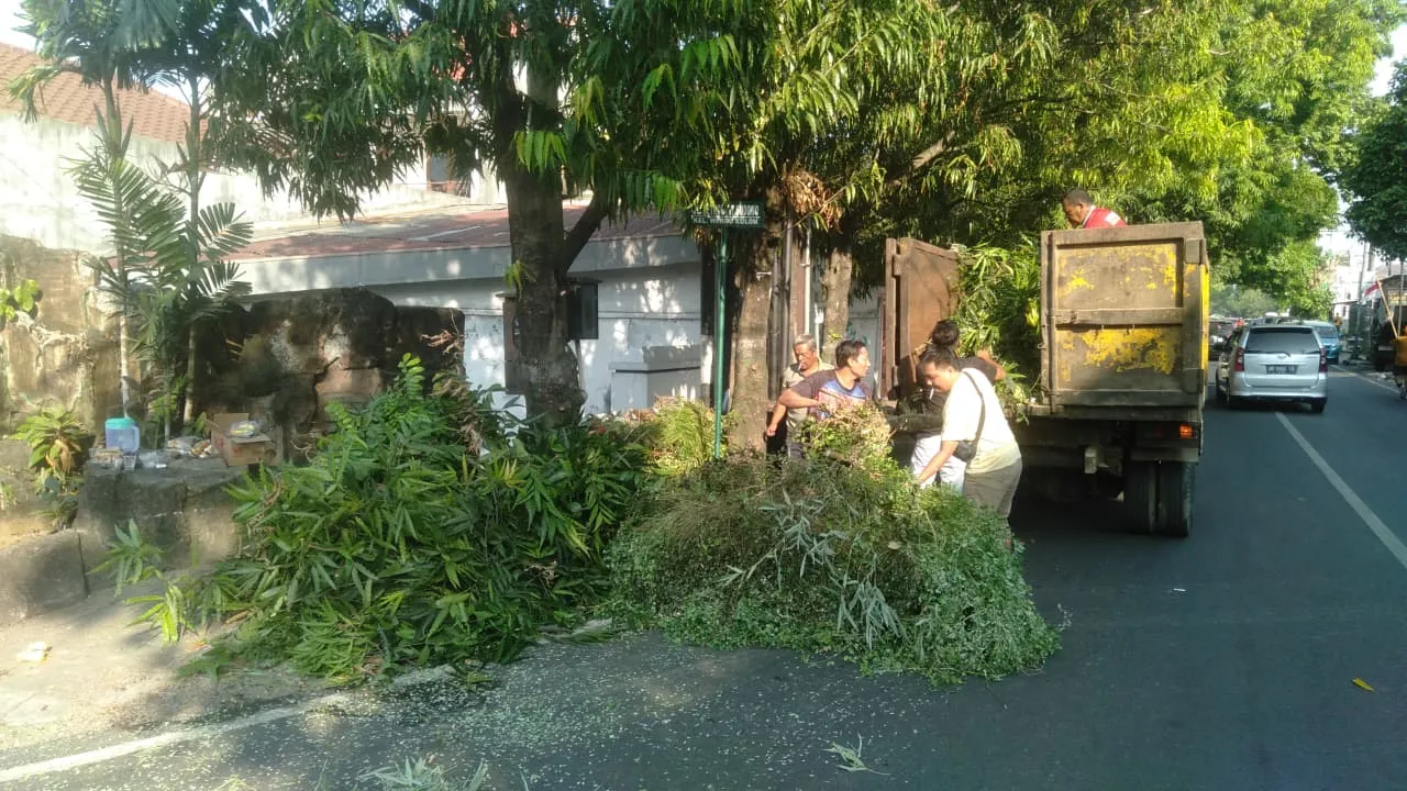 Masyarakat Tak Bisa Asal Tebang Pohon Pinggir Jalan di Kudus, Ini Syarat dan Prosedurnya