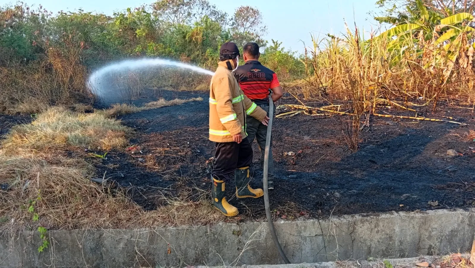 Kemarau 2026, BPBD Kudus Catat 72 Titik Kebakaran Lahan dalam Dua Bulan