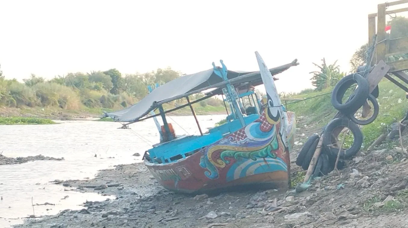 2.655 Hektare Sawah Pati Terancam Gagal Panen, Debit Sungai Silugonggo Terus Menyusut