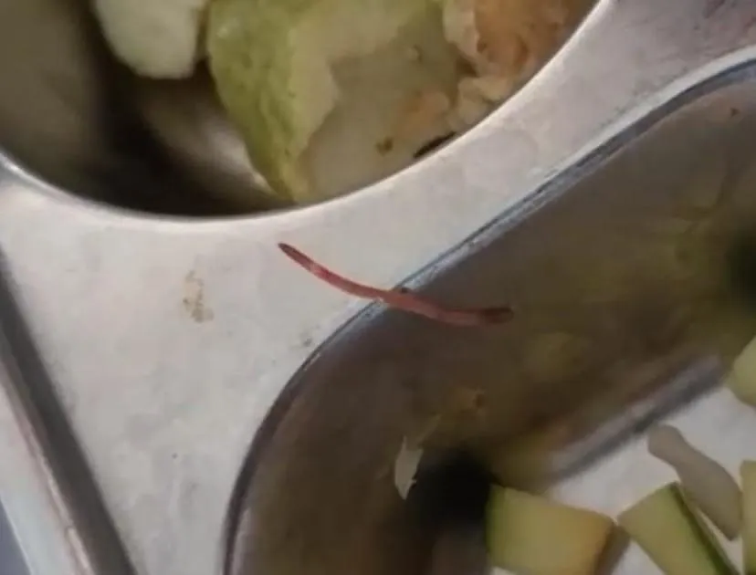 Video Viral! Diduga Ada Cacing Hidup di Porsi MBG MAN 1 Pati, Siswa Sebut," Waah Bergizi"