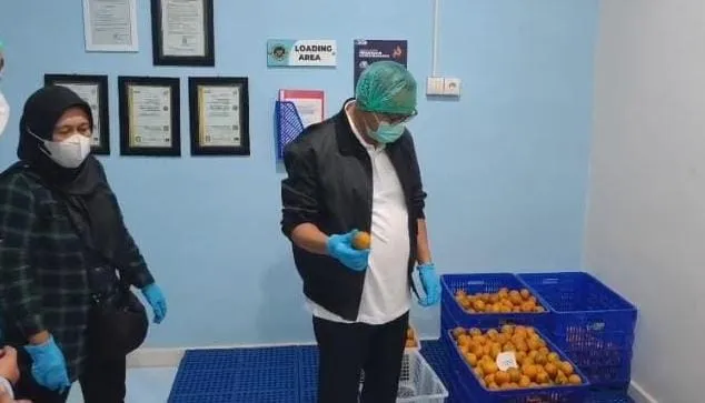 Sidak 5 Dapur MBG Cluwak, Ditemukan Lele dan Jeruk Tak Layak