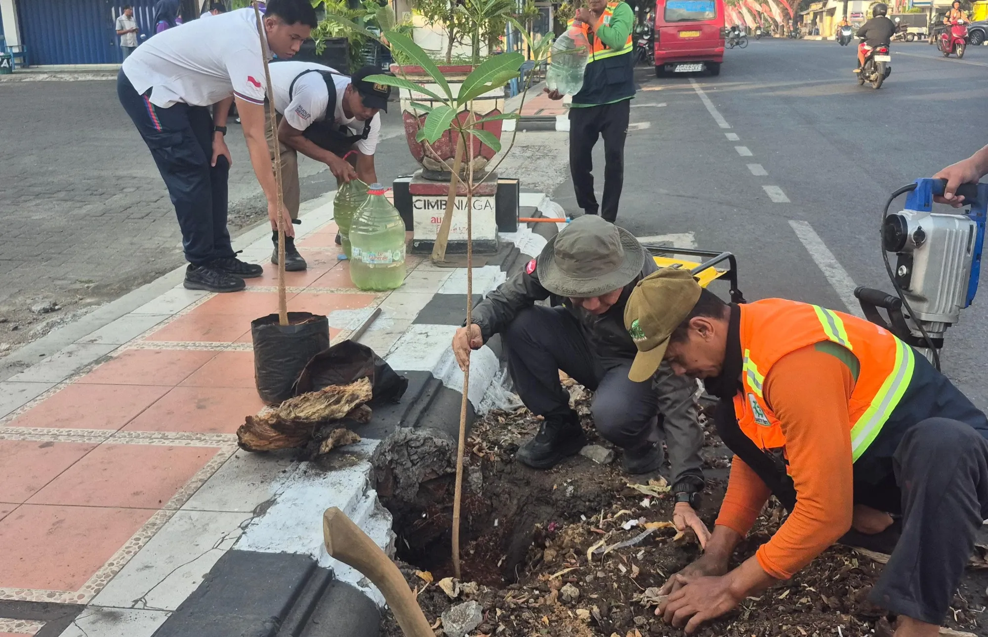 Bukan Proyek, Pemkab Kudus Tanam 50 Pohon Tiap Jum'at untuk Hijaukan Jalan