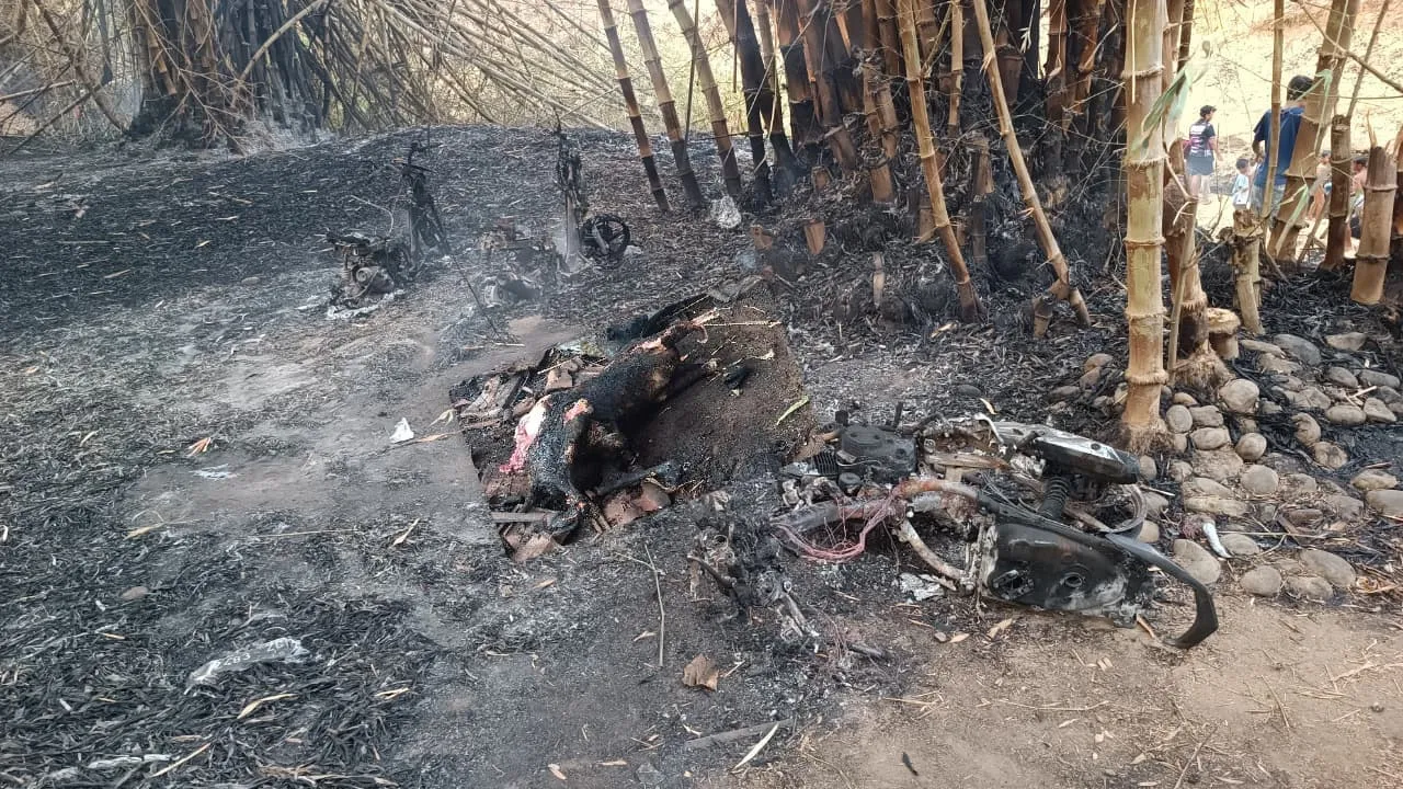 Kebakaran Lahan Bambu di Singocandi, Tiga Motor dan Seekor Kambing Ikut Terbakar