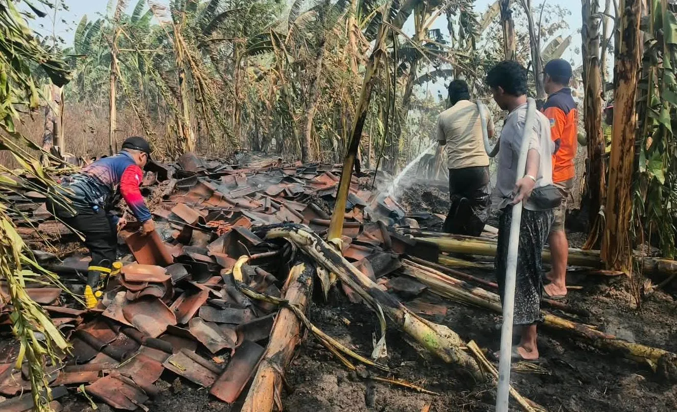 Dua Kandang Kerbau di Undaan Kudus Terbakar, Kerugian Ditaksir Rp6 Juta