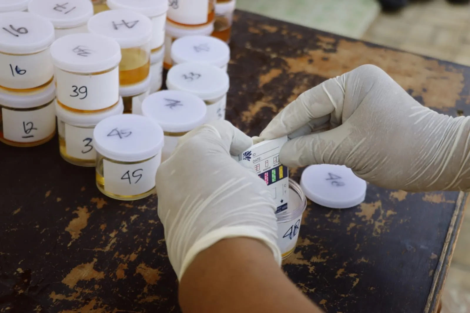 Satu dari 50 Pejabat Pemkab Kudus Positif Skrining Narkoba, Bupati: Karena Minum Obat